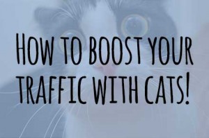 boosttrafficwithcats